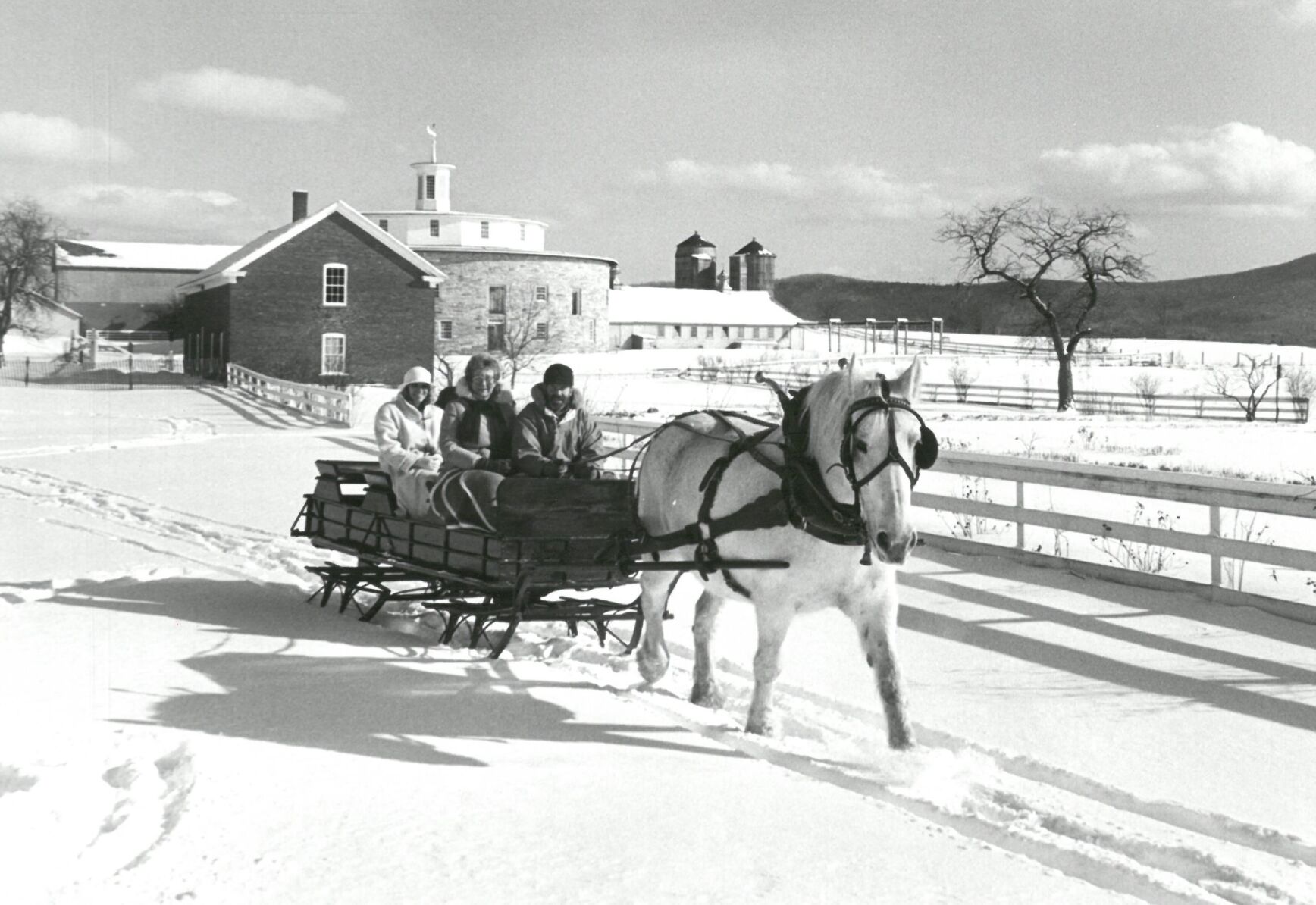 One horse open sleigh, undated